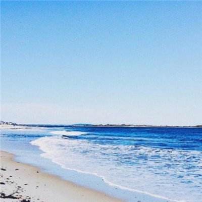 乐鱼APP下载手机版