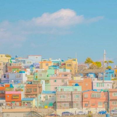 全民彩票下载手机版